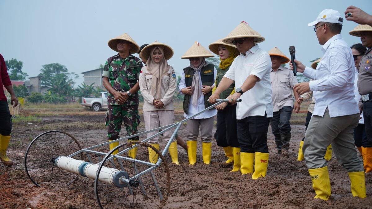 Wagub Nyanyang mencoba inovasi pembajak sawah yang dimodifikasi menggunakan mesin. (Ziqr)