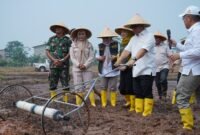 Wagub Nyanyang mencoba inovasi pembajak sawah yang dimodifikasi menggunakan mesin. (Ziqr)