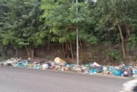 Tumpukkan sampah di pinggir jalan depan Lytech Batam arah. Foto: Metroposid