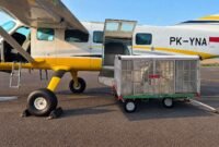 BP Batam menggelar Operasi Modifikasi Cuaca (OMC) pada 26 Oktober hingga 2 November 2026